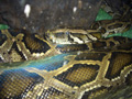 gal/07 - Sihanoukville/_thb_RIMG1988.jpg